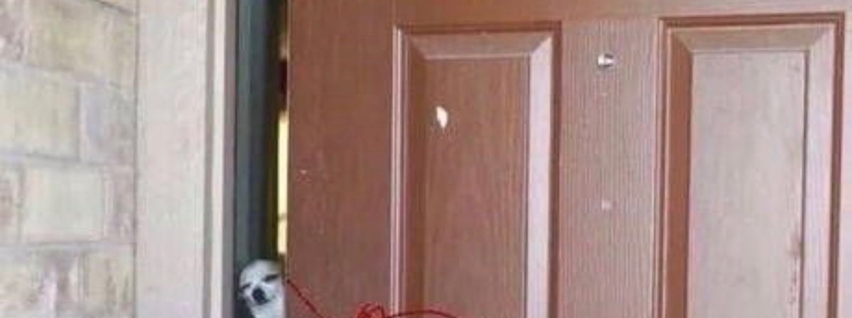 s9_l6's tweet image. Tap the post to see big surprise