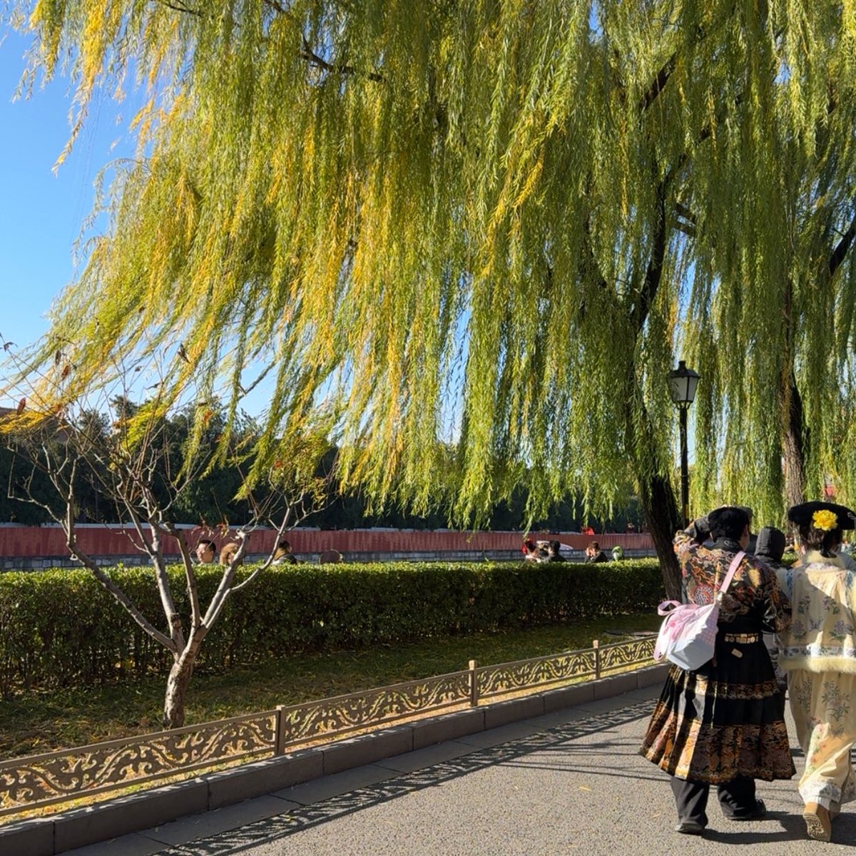 ellba0's tweet photo. Beijing 🇨🇳 https://t.co/CwmBHU35Ol