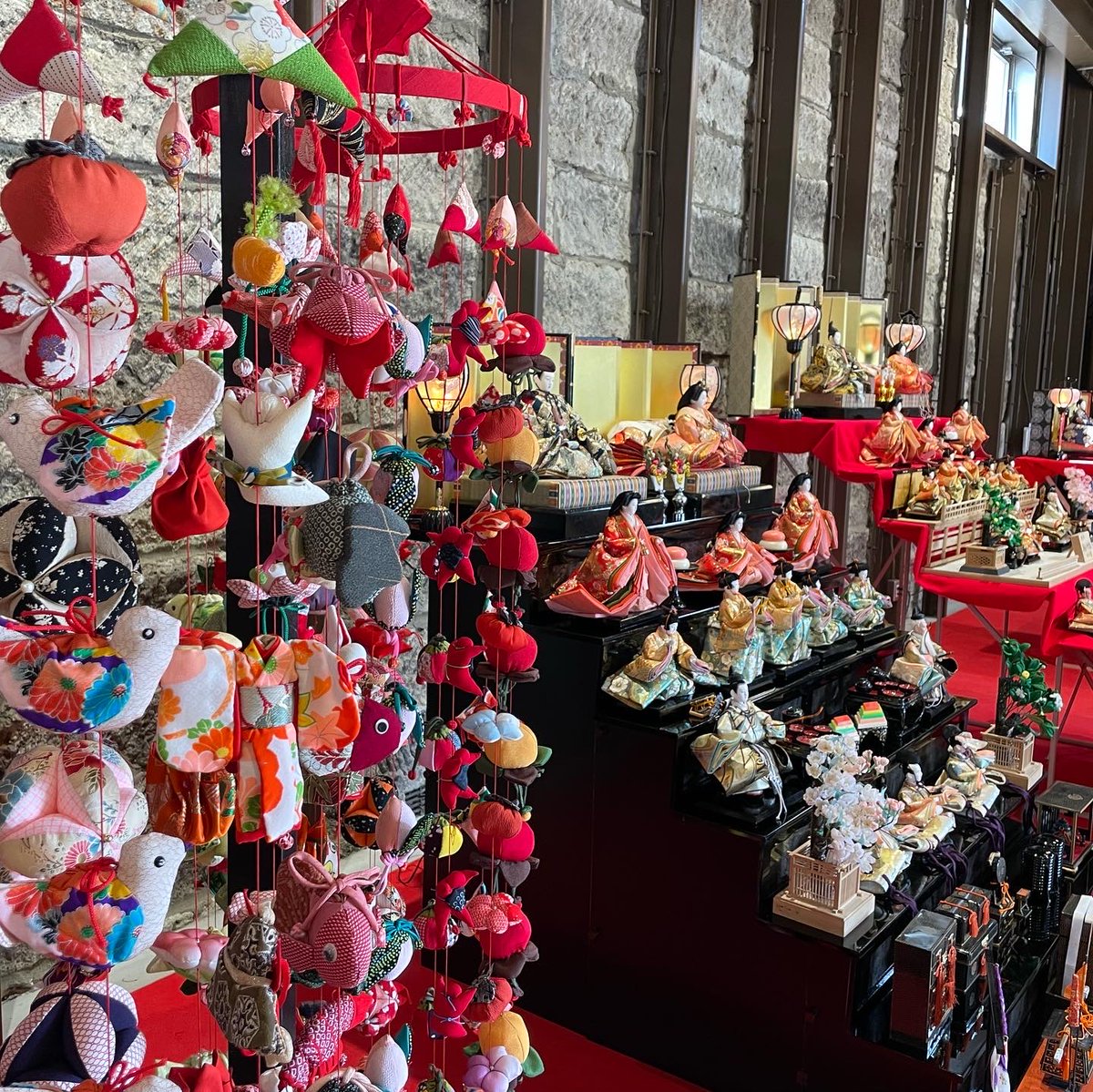 🎎#潮来市 にて #水郷いたこ雛巡り 開催🌸 #水郷潮来あやめ園 ほか2