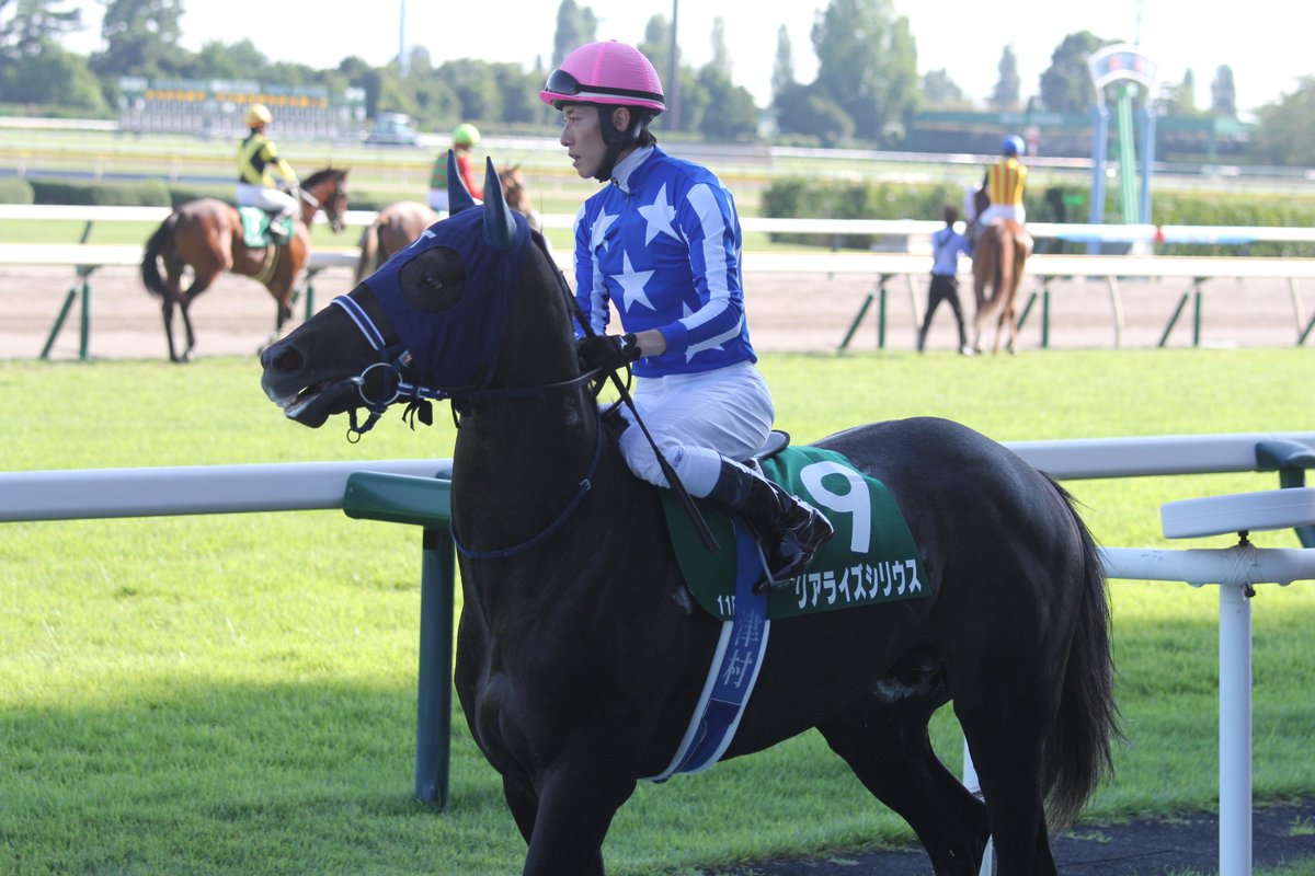 ゾロアストロが芦毛という事実
ついでにリアライズシリウスも芦毛