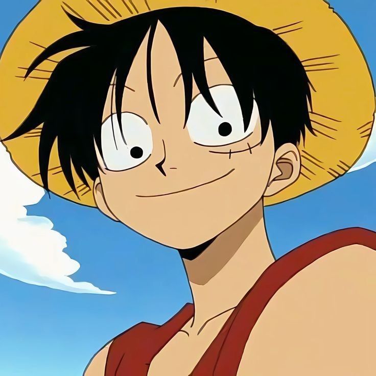 pixelsushis's tweet photo. So there's this character named Monkey D. Luffy https://t.co/gRlLuAN3vk
