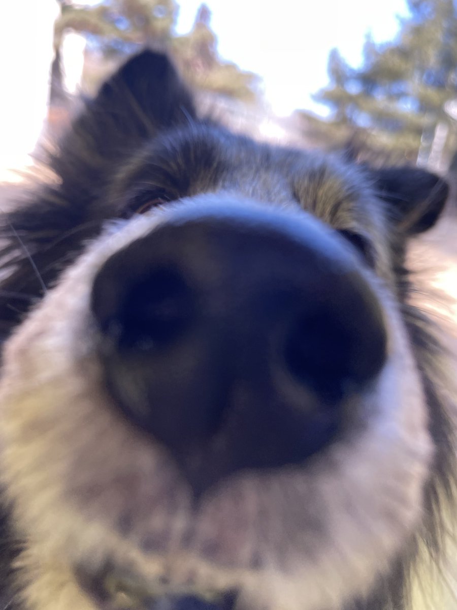 setmefree67's tweet image. #일상계_트친소
감성이라곤 없는 성인 여성(2n)의 일상과 가나디를 보실 분. . . .. ...
맘찍해주시면 선팔로 찾아가요...🥹