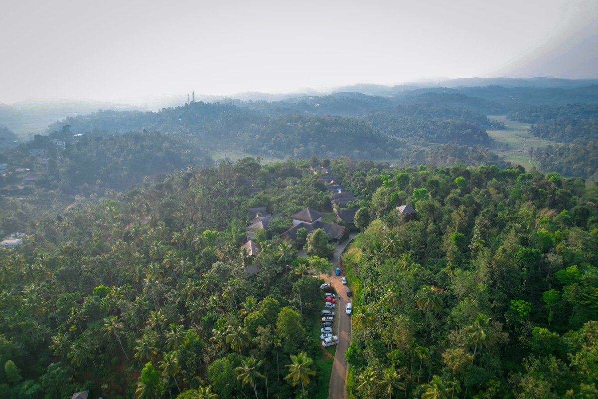 morickapresort's tweet photo. The main speciality of Morickap Resort is its lush green and refreshing atmosphere
#NatureIsMagic #Kerala #traveling #travelphotography https://t.co/FFnAneEl71