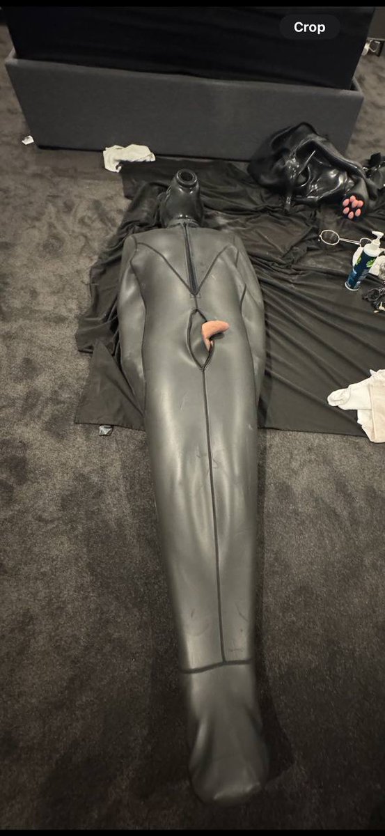 Tyler Boy tweet media