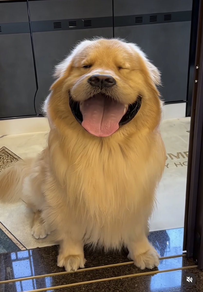 twentiesk's tweet image. เหมือนมาก55555555555555