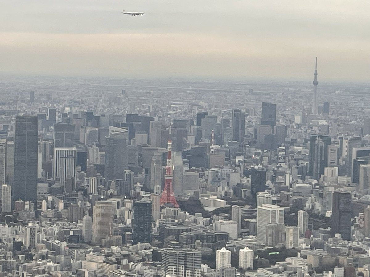 nekohimereal's tweet photo. 東京と大阪だと街の「向き方」がやっぱ違くて面白い 両方見れて楽しかった https://t.co/WQDxgPNsSl