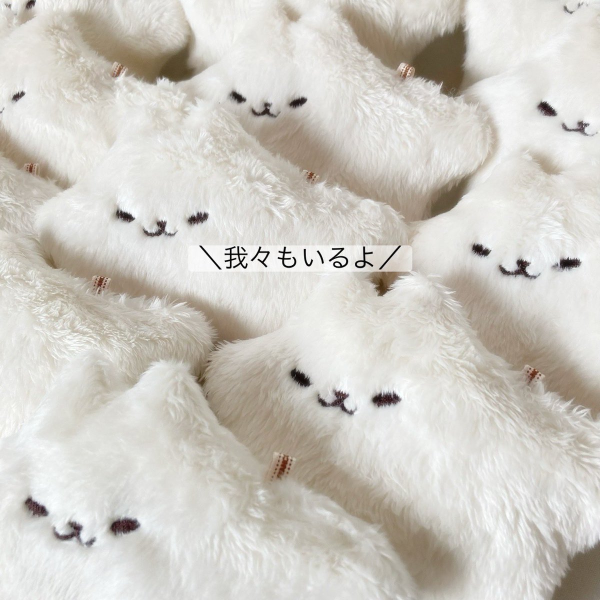 にゃんことみーこ®︎ (@aico004) / Posts / X