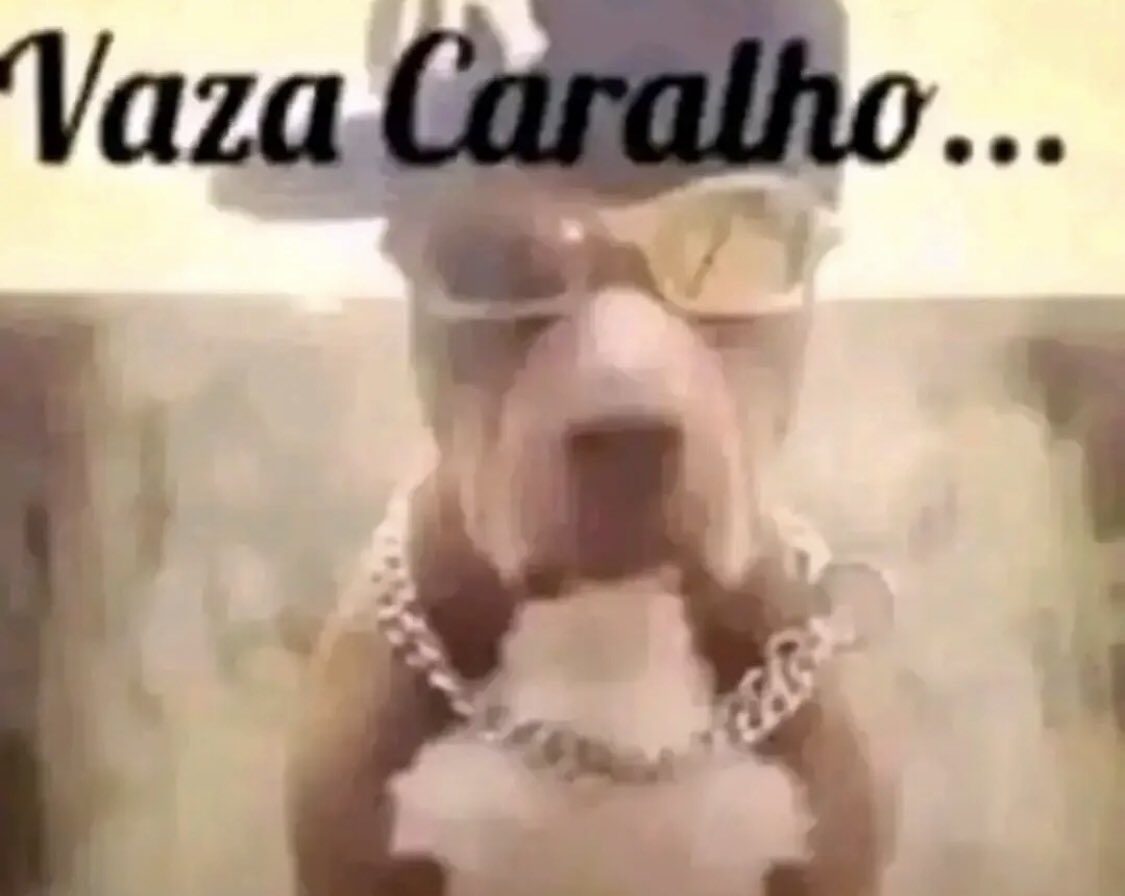 ogrustty's tweet photo. última vez q me humilho pra vc ok demoníaca https://t.co/xE9X2sQHcN
