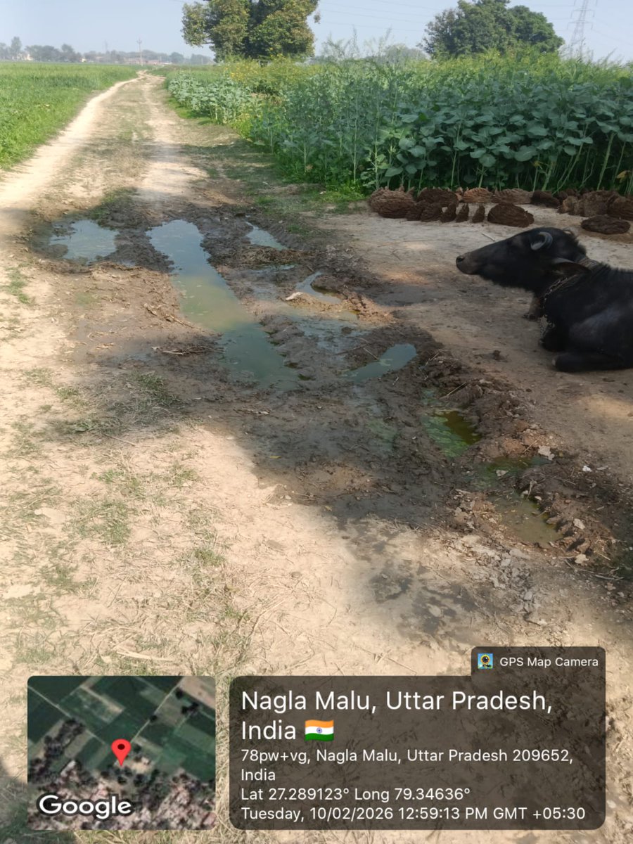 SHASHANKYADAV_2's tweet photo. किसानों के हित में जिला पंचायत के माध्यम से इसका पक्कीकरण (CC/डामर) कराया जाना अनिवार्य है।
@dm_farrukhabad @cdofarrukhabad @AdhyakshaJPFar1 @UPGovt @CMOfficeUP @UPPCU_LKO
#Farrukhabad #ZilaPanchayat #FarmersHelp #RoadSafety #UPCares https://t.co/7ySnxnF4bg