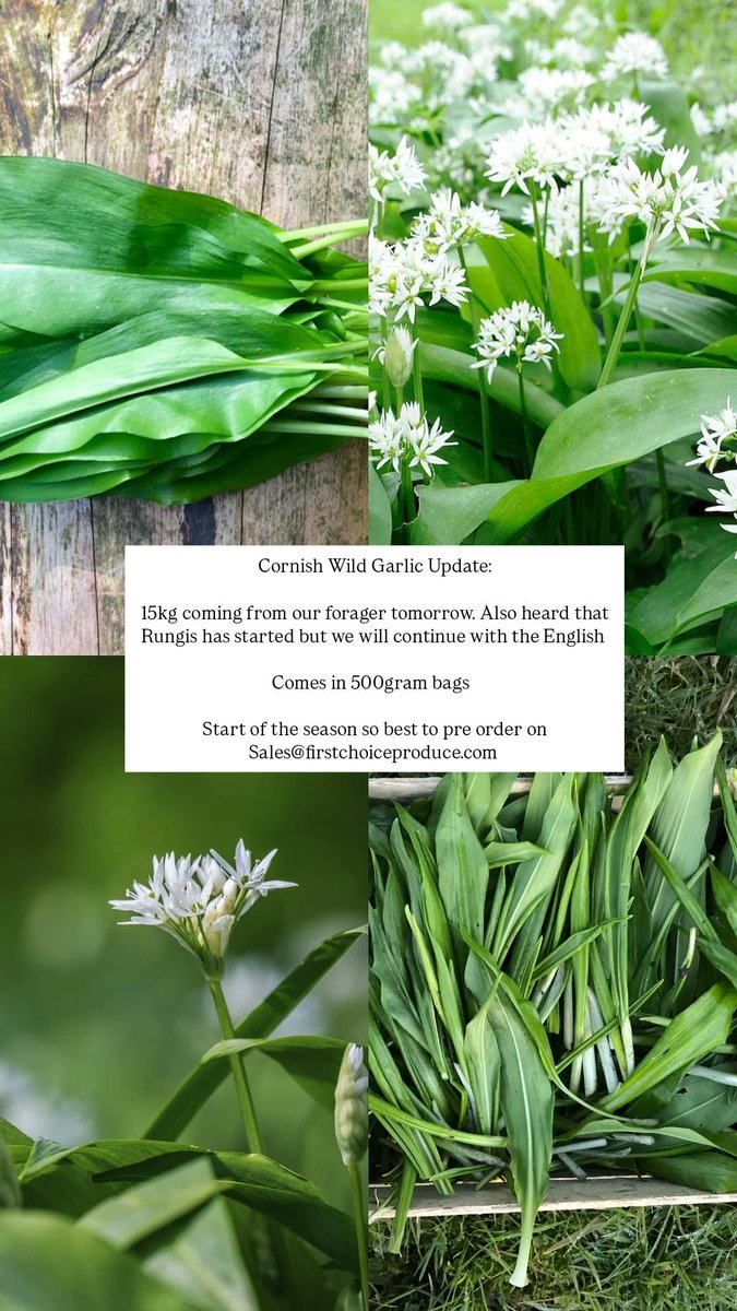 First Choice Produce tweet media