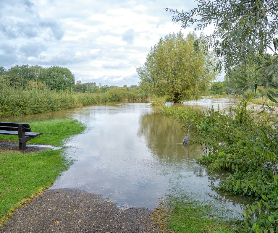 The Parks Trust tweet media