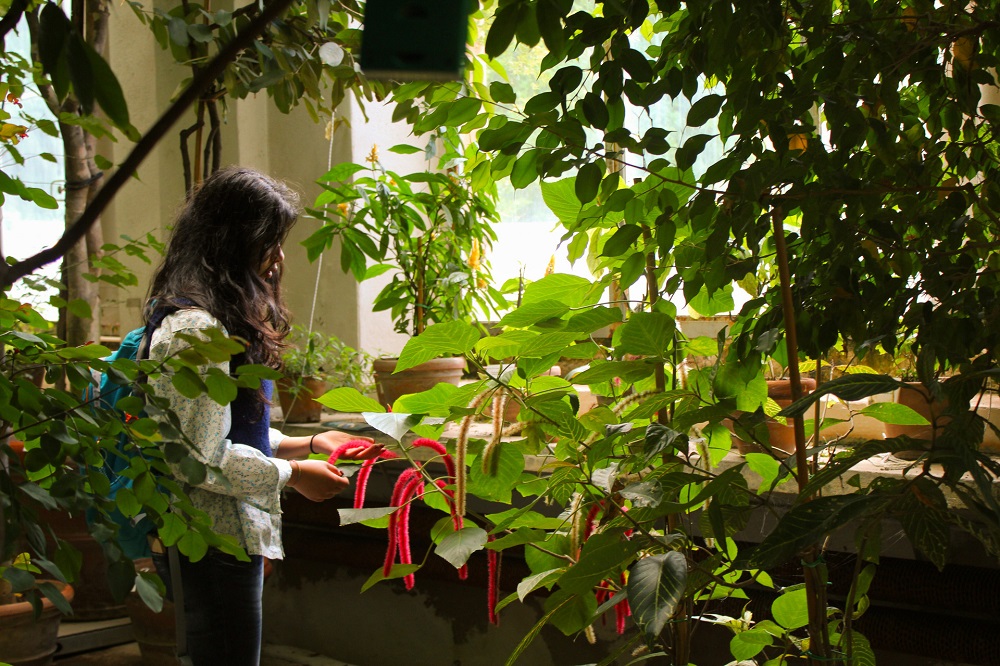 📢🔬NON PERDETE LE INTERESSANTI INIZIATIVE ORGANIZZATE DAI MUSEI ANMS!🔭🌏
👉Ecco il link alla nostra newsletter settimanale: mailchi.mp/c07111ab0570/g…
👀 Continuate a seguirci anche sul nostro sito: anms.it
👥 Per diventare Soci ANMS scrivete a: segreteria@anms.it