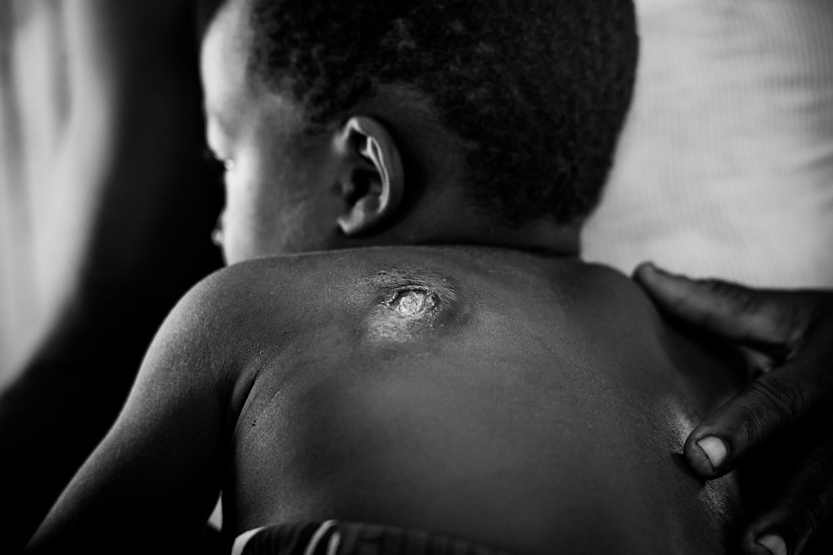 Science for Africa Foundation tweet media