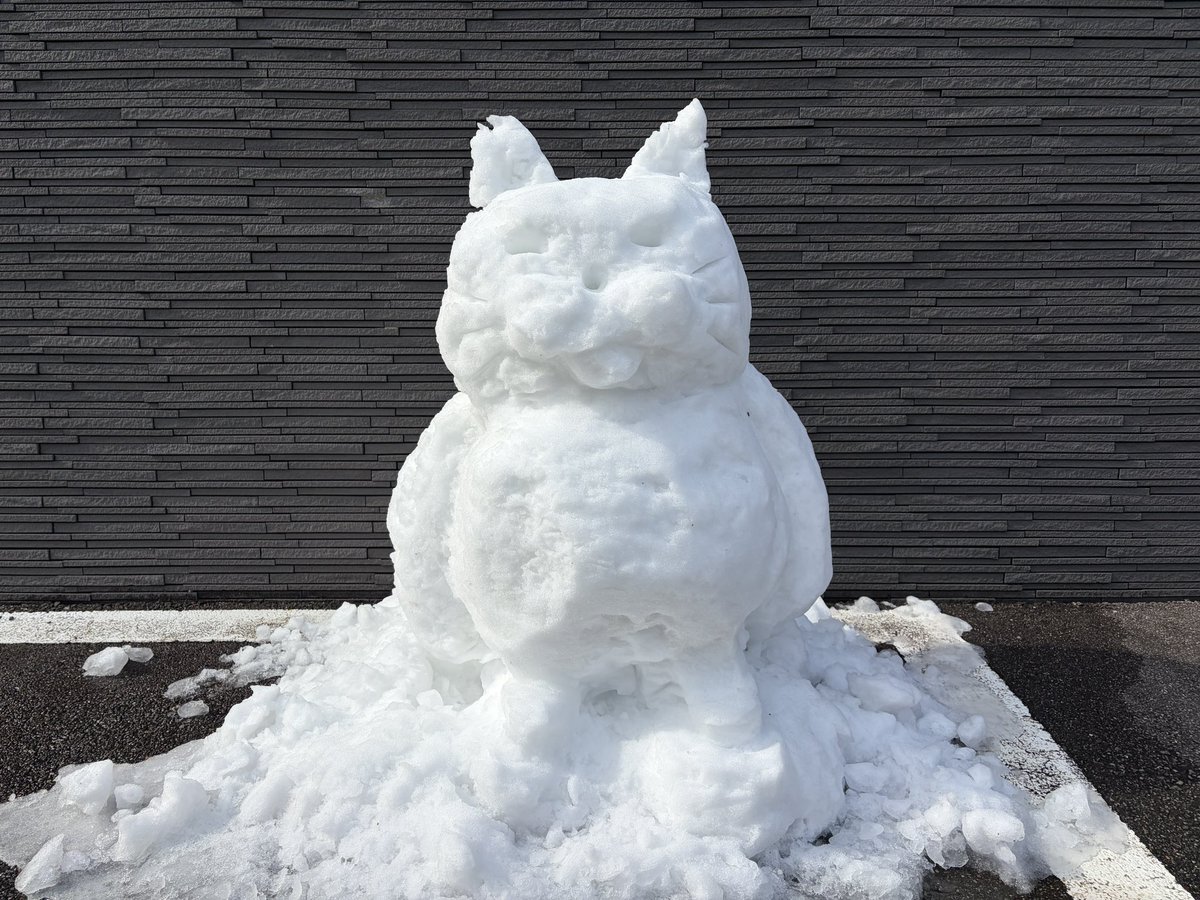 大雪の後、毎回 マンション近くに現れる雪だるま⛄️ 今回は「ノラネコ