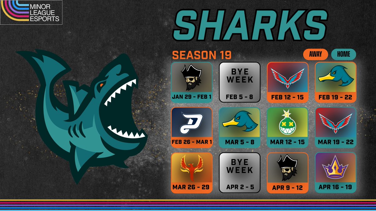 Sharks MLE tweet media