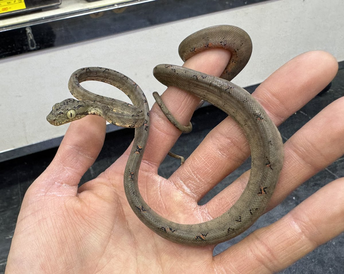 本日も13時よりオープンです‼️ ご来店お待ちしております〜 ブログ未