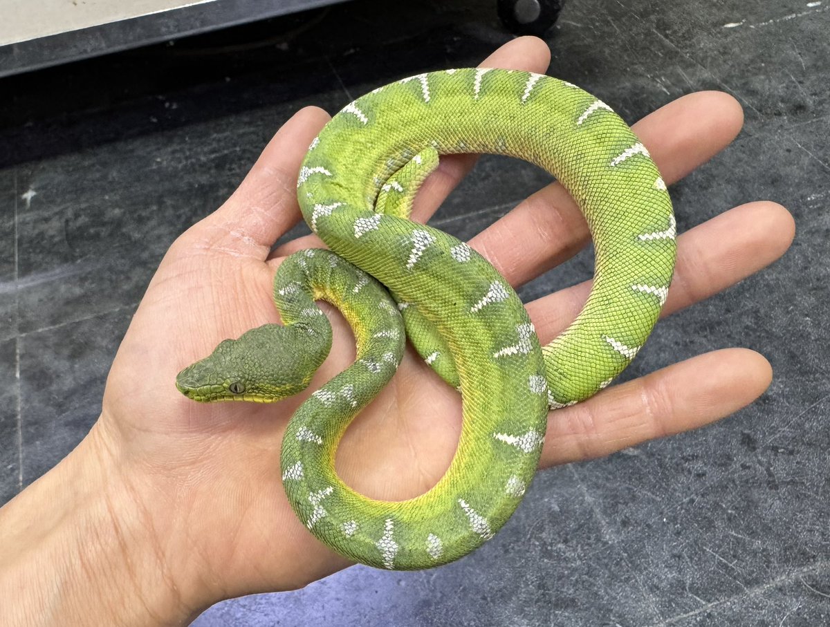 本日も13時よりオープンです‼️ ご来店お待ちしております〜 ブログ未