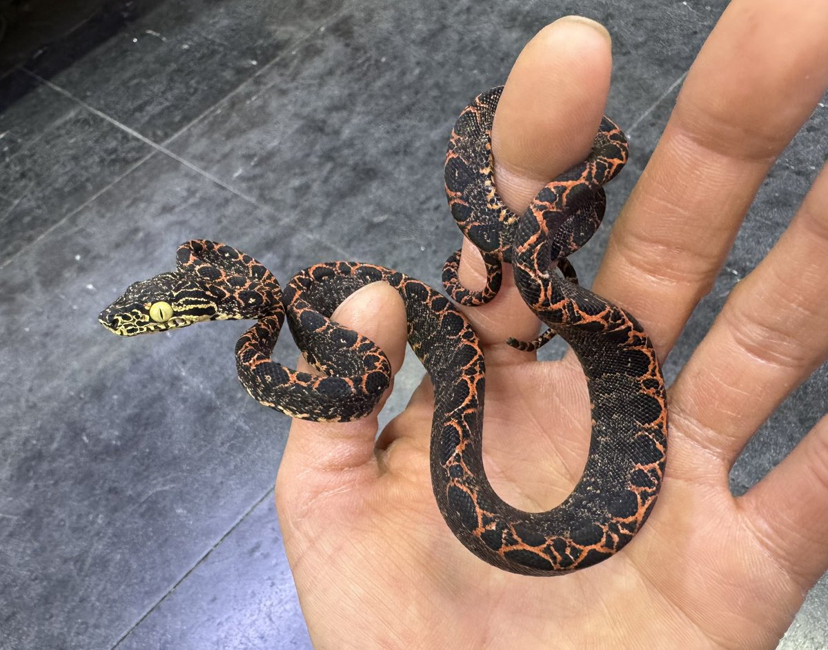 本日も13時よりオープンです‼️ ご来店お待ちしております〜 ブログ未