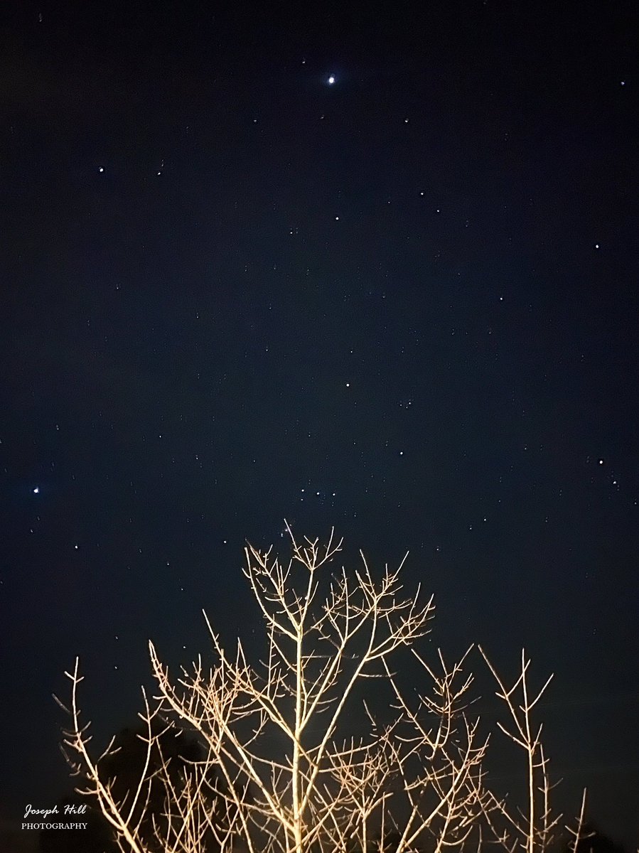 JosephHill3794's tweet image. Winter Night❄️🌌
Photo By: Joseph Hill🙂📸

#winter #winternight #night #nightsky #sky #stars #tree #nature #beautiful #peaceful #nighttime #wintertime #wintervibes #winterphotography #NightPhotography #VassNC #February