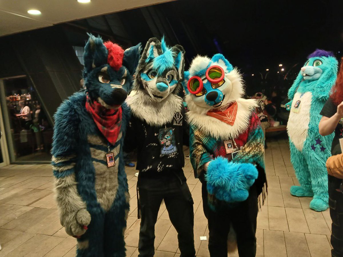 Brimwulf 🔜 CFz tweet media