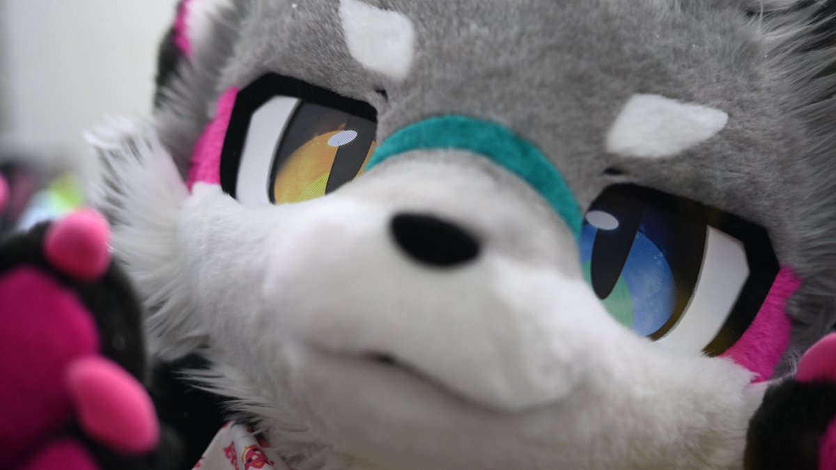 こっち来た！

ヴェルクさん <a href="/veruku0624/">ヴェルク→未定</a>