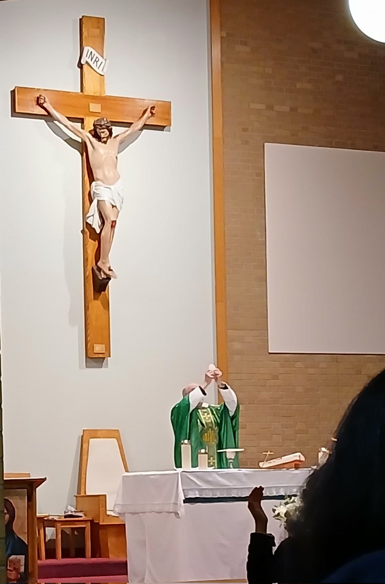 JohnZwicker1's tweet photo. Alleluia, alleluia.
Jesus preached the Gospel of the Kingdom
and cured every disease among the people.
Alleluia, alleluia.
#GospelAcclamation
A ๐ 4U here at #StMonica parish this evening
https://t.co/0FSQbpURwQ https://t.co/A1GTeBG0ad
