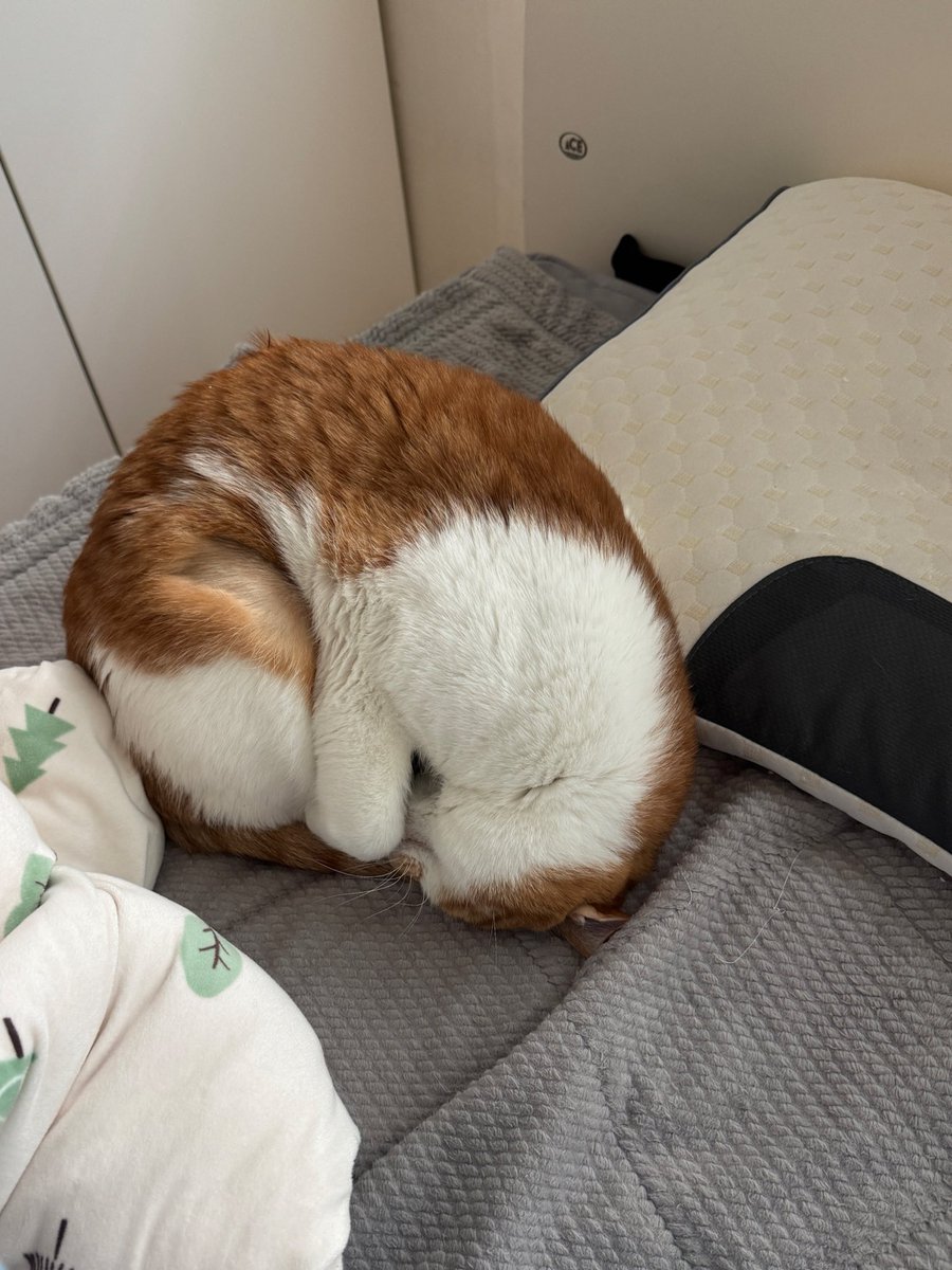 너 왜 그렇게 자…?