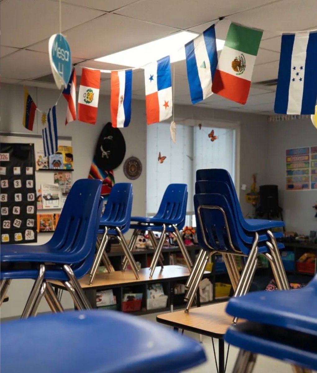 L’ICE a #Minneapolis è peggio del Covid. Le scuole passano in remoto perché le famiglie hanno paura degli squadristi di Trump in strada.