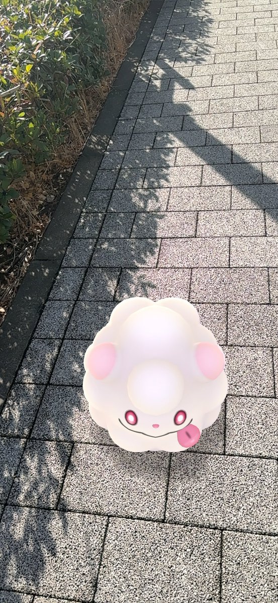 hrfm_h's tweet photo. Pokémon GO の楽しさを体験しよう！https://t.co/weVSqos5Y1 https://t.co/ezk7Gv46a8