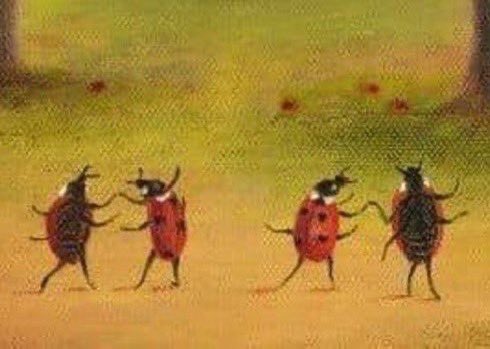 AC_unit__'s tweet photo. me and the besties at the great divide tour (kahancert) 🐞 https://t.co/W11VUrKfR5
