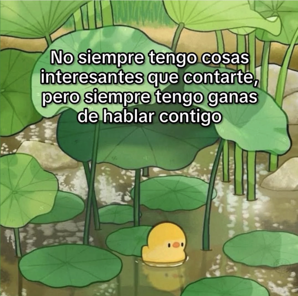 El Guarromántico tweet media