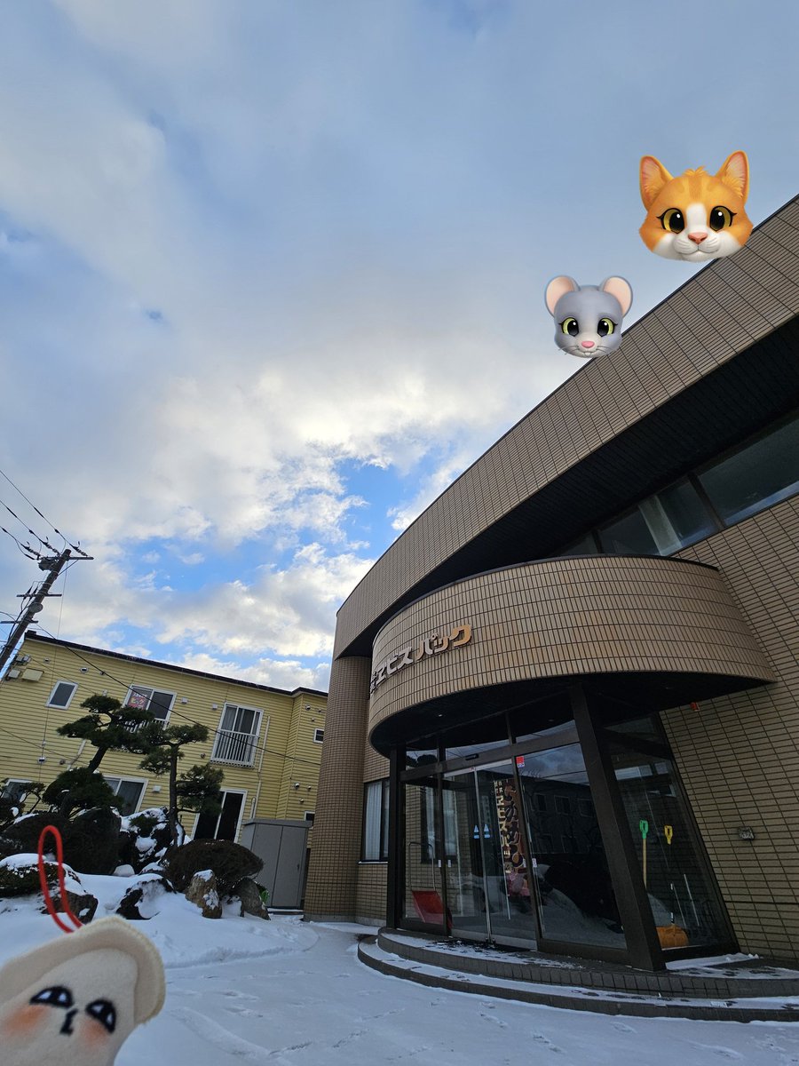 函館は雨時々雪☔
今日はトムとジェリーの日です🐁🐈

昨日はマスクにまでサンマの返り血を浴び事件現場にいた人みたいになっていましたが、今日は黙々と商品にシールを貼る作業をしているのでまだ事件は起きていません(？)

HAKODATEスタンドは1つあります☝

 #企業公式が地元の天気を言い合う