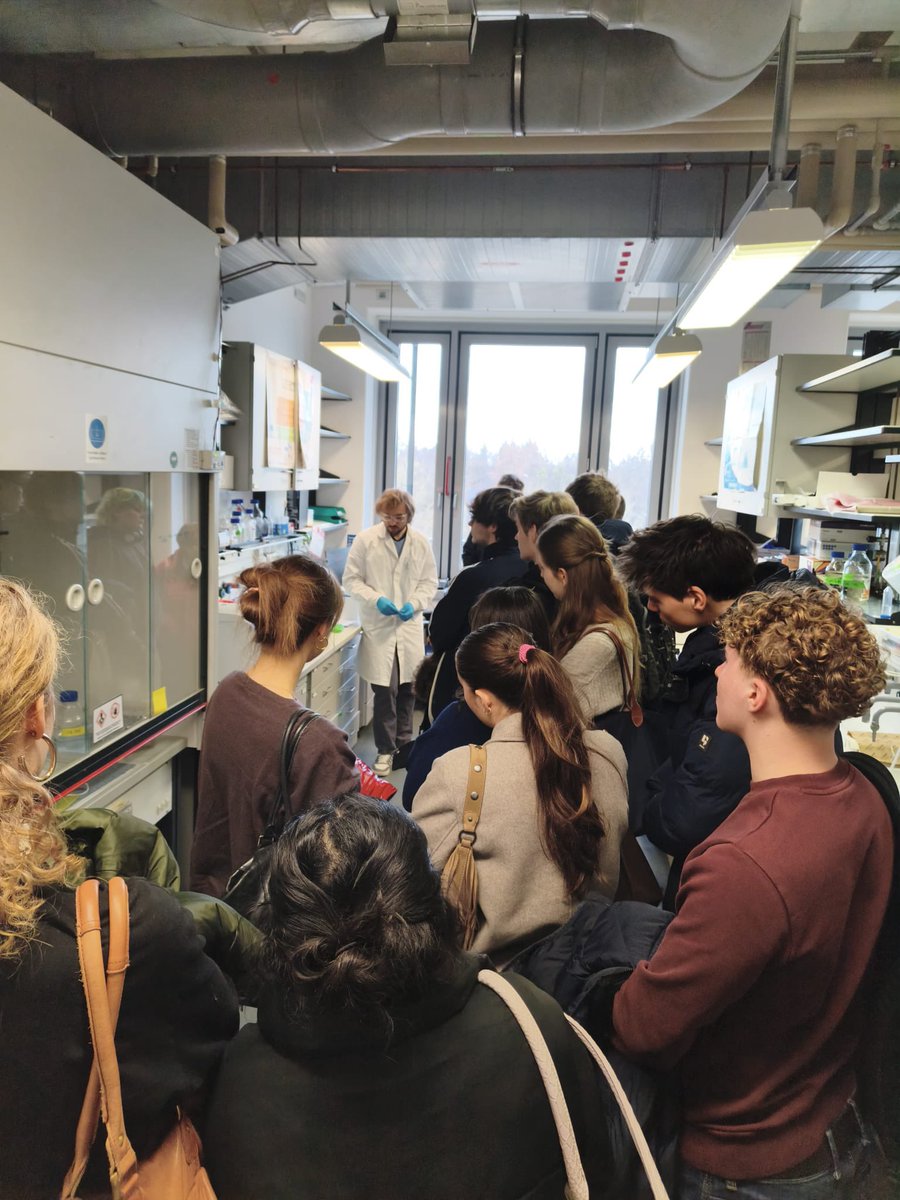 Khmelinskaia Lab tweet media