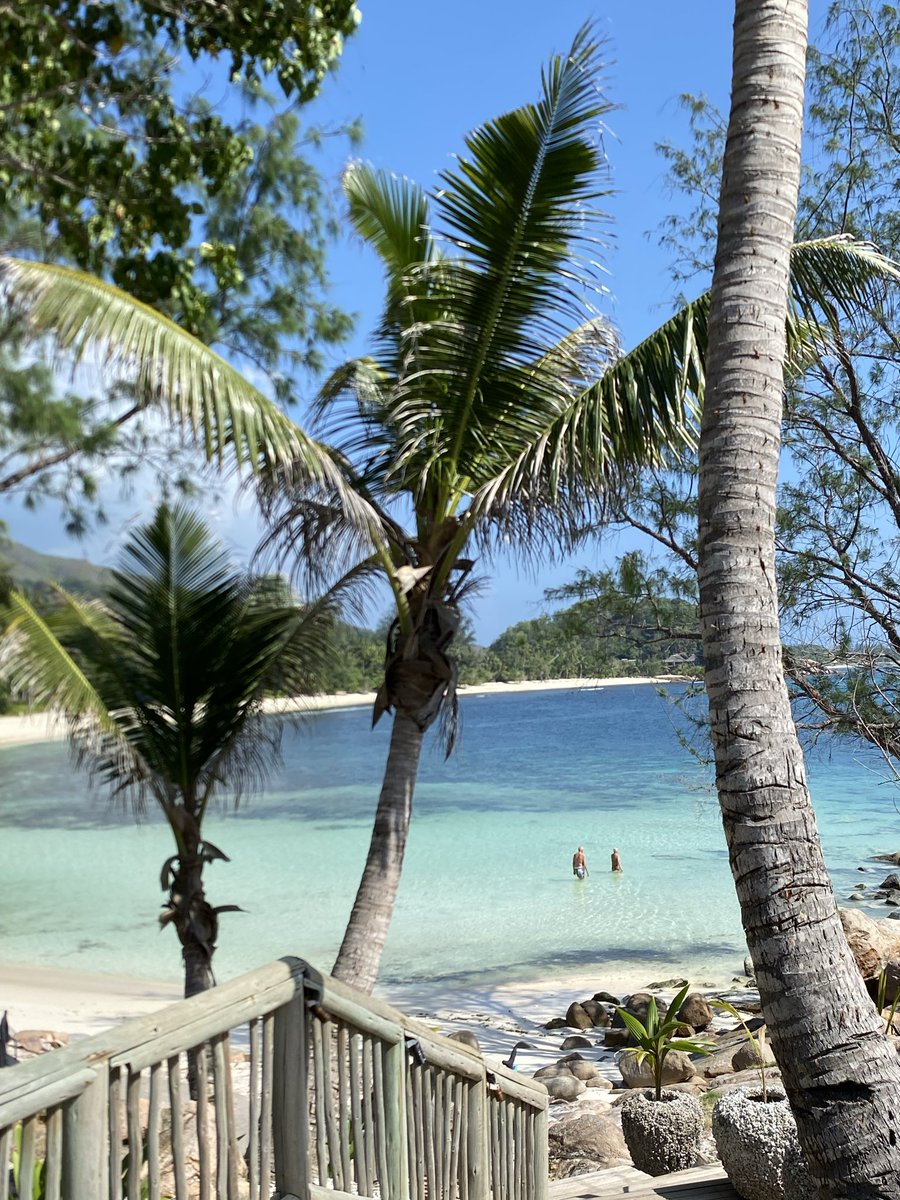 cenevrehanim's tweet photo. Gunaydin 🇸🇨⛱️🏝️🏖️

#Praslin #Seychelles 🇸🇨🇸🇨🇸🇨 https://t.co/sFZtZ2dAXW