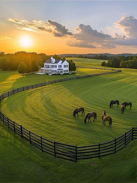 Good morning 𝕏. 🙌🏾
We go again today.