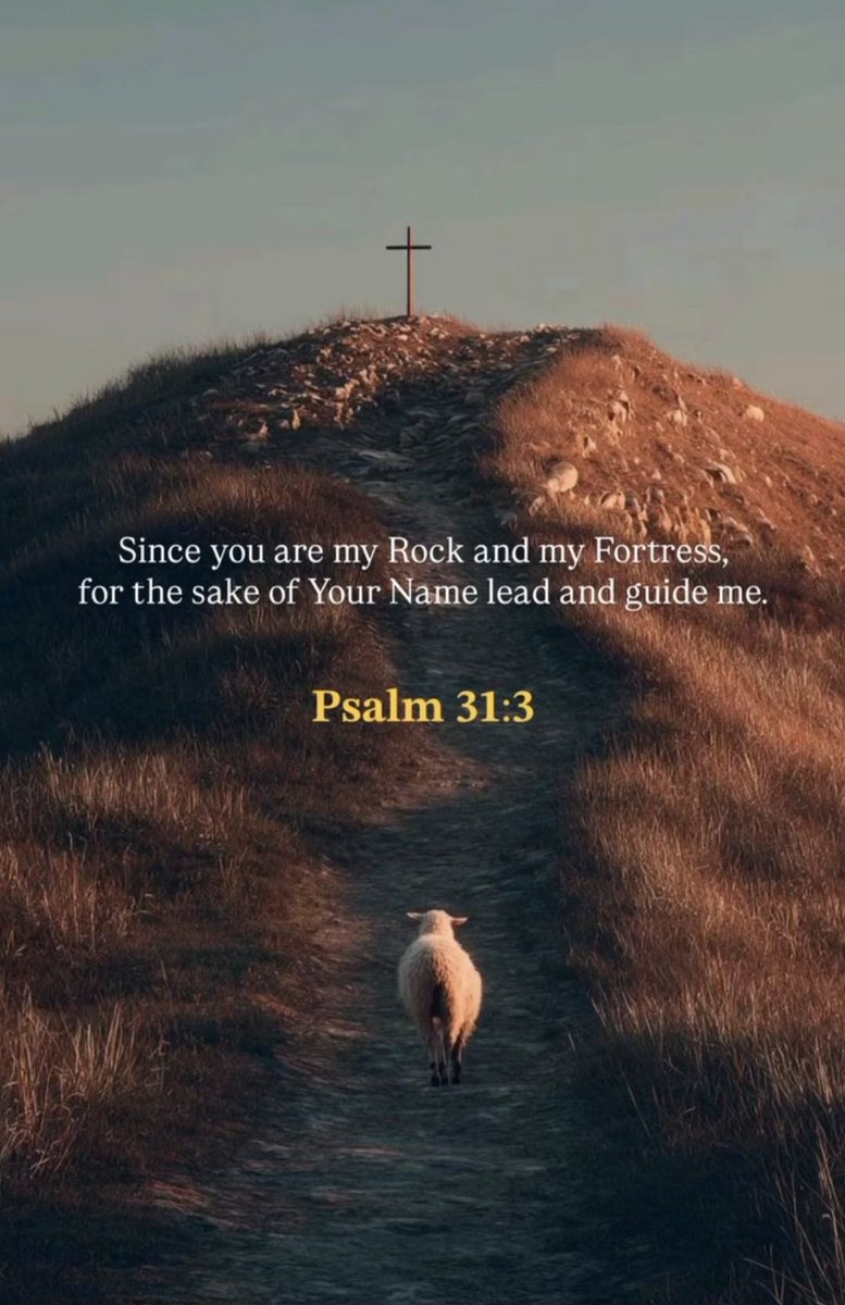 John_Matthew_T's tweet photo. Psalm 31:3 https://t.co/jIYcGP9LeH