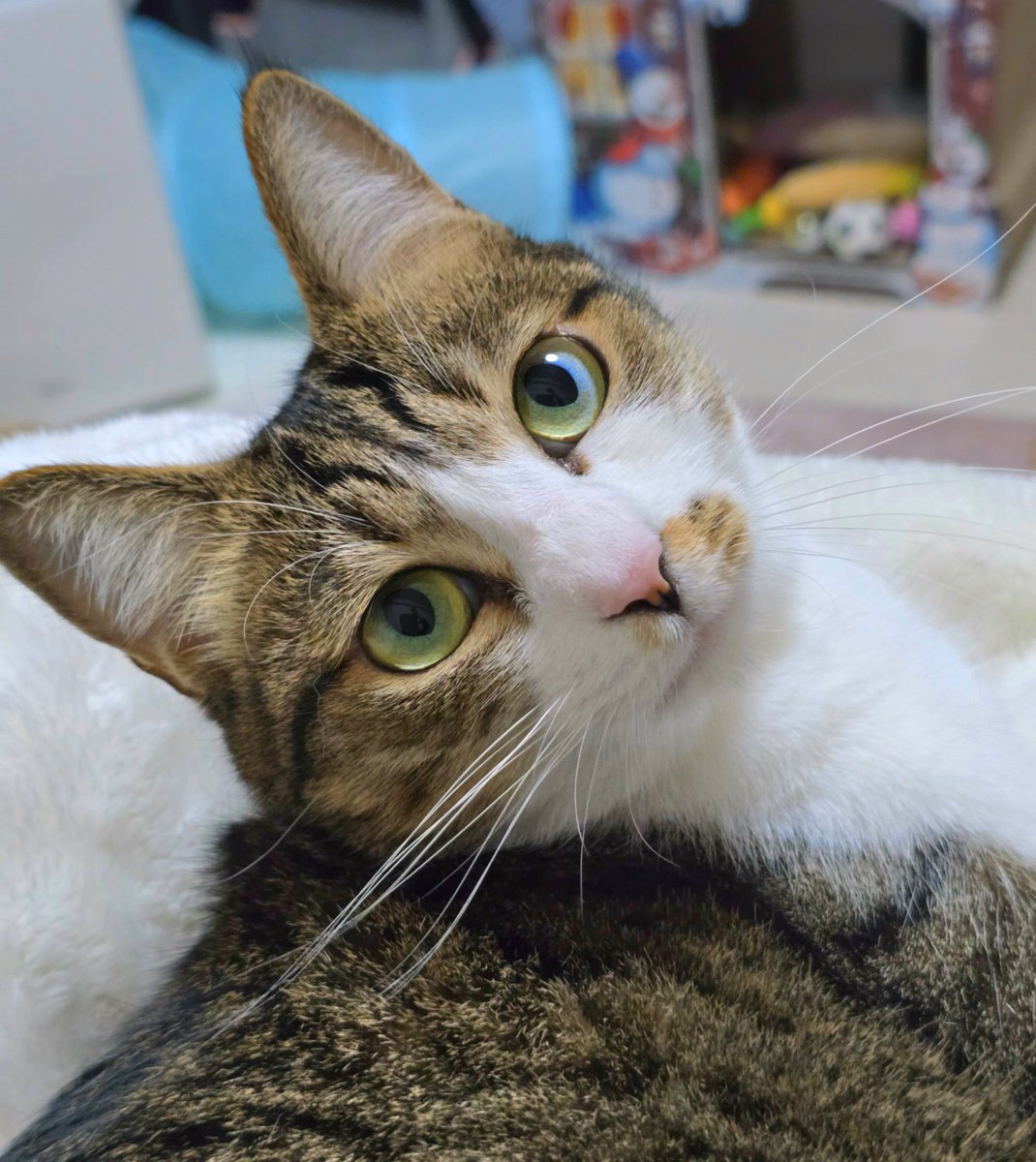 まりもちゃん！と🧌 (@marimo2021915) / Posts / X