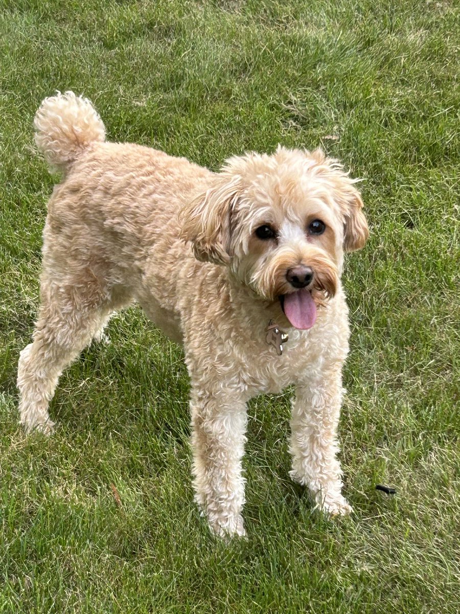 Tiffany keeps on Changing 🩵 tweet media