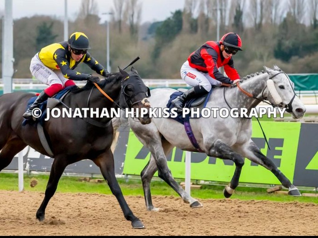 Derbyshire Racing tweet media