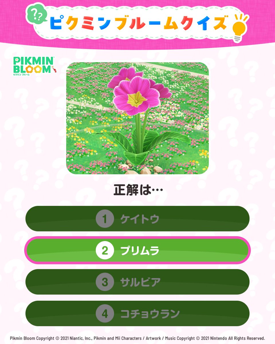 Pikmin Bloom Japan │ ピクミンブルーム (@PikminBloom_jp) / Posts / X