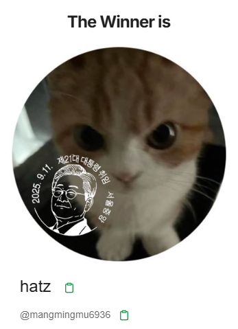 초묘(初猫) tweet media