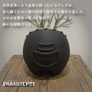 BIZARRE STAND / 古澤木型 tweet media