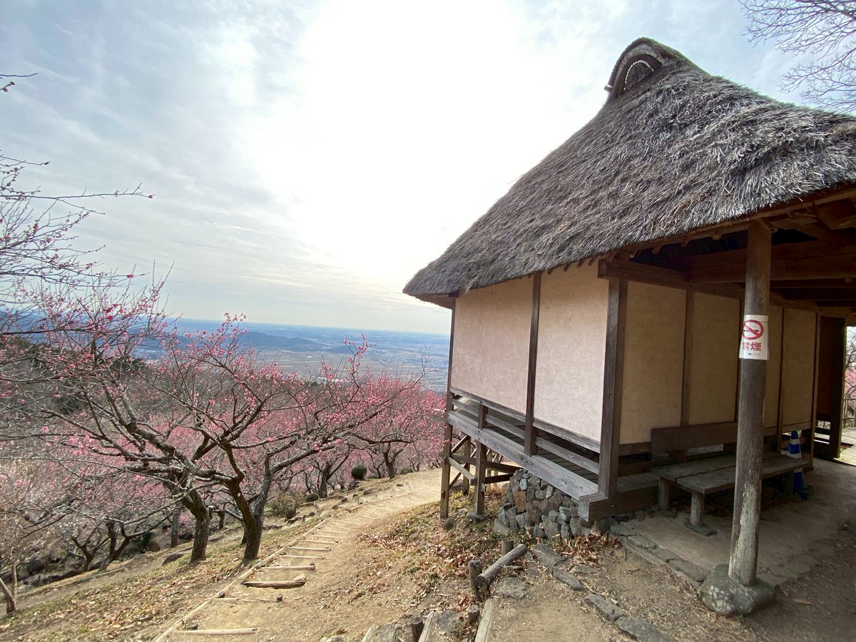 🌟新イベント募集開始のご案内🌟

茨城県つくば市
筑波山梅まつりと梅の花 撮影イベント
2026年3月1日(日)
春を告げる梅の花での撮影イベントを《少人数限定》で開催‼️
今回「参加料無料」でのイベント開催です✨
募集人数に達した段階で受付終了ですので、ご希望の方はお早めにどうぞ☺️