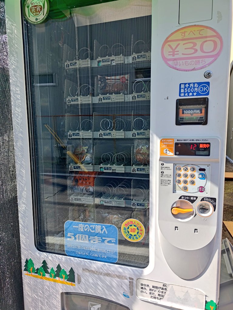 毎日が夏休み！ tweet media