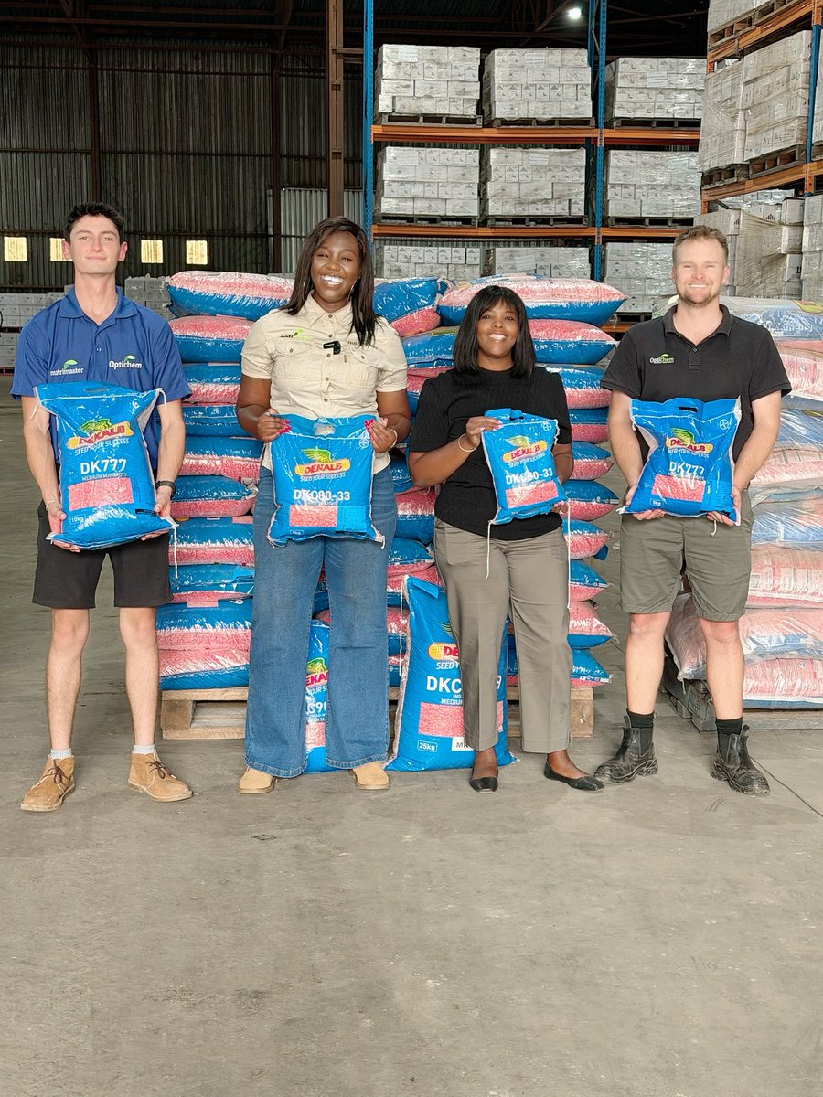 agribusiness110's tweet photo. Dekalb maize seed for all year maize production 
1. Green mealies producers : DKC 8033 (double cobbling)
2. Grain producers and Silage DKC 9089
3. Excellent Grain quality DK 777 https://t.co/5nuCW97pn1