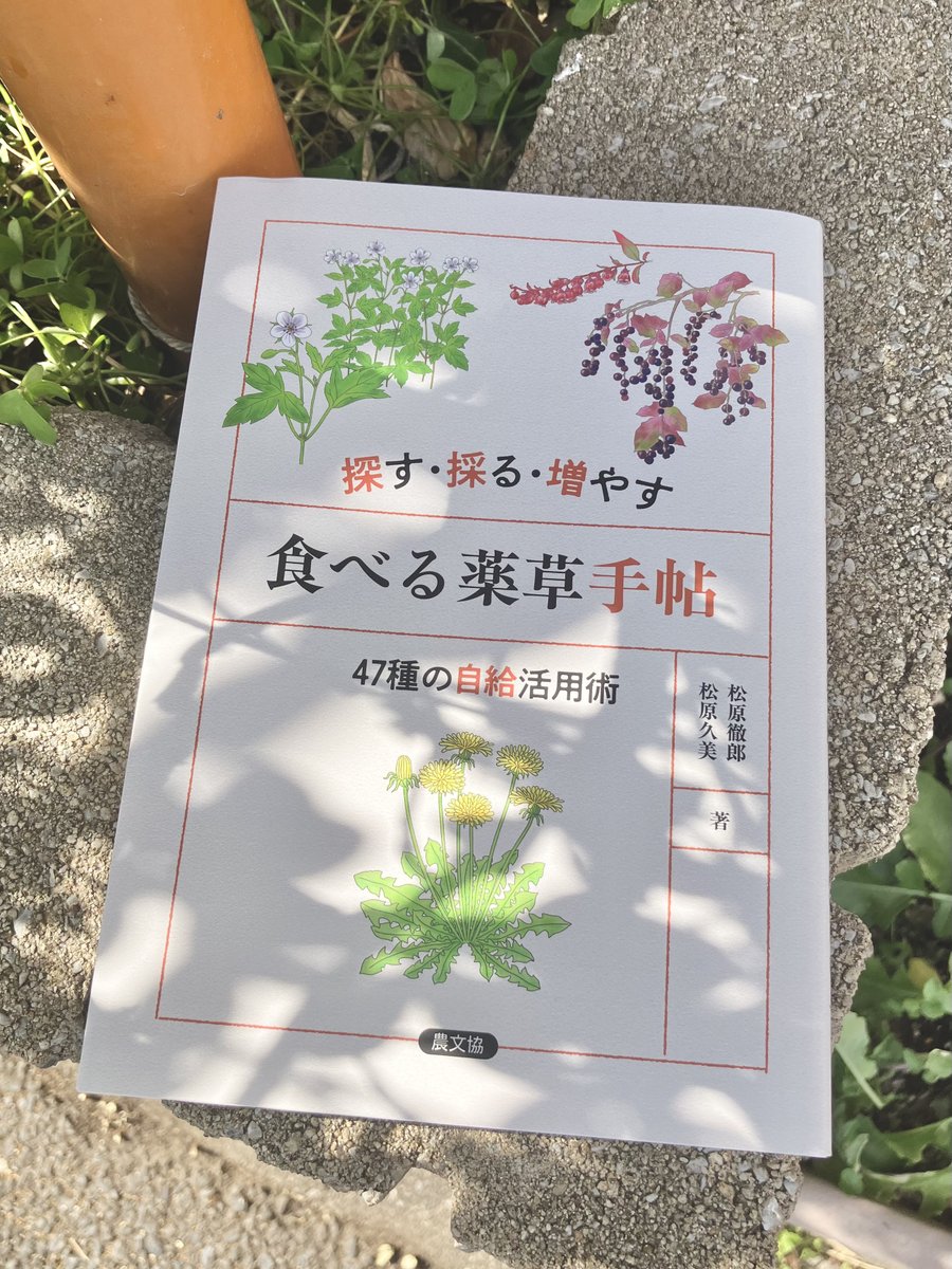 📢 本日発売！ 「探す・採る・増やす 食べる薬草手帖 47種の自給活用術