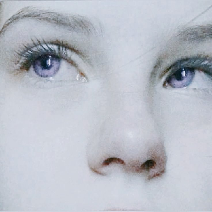 Jaehaera Archives 🏰 tweet media