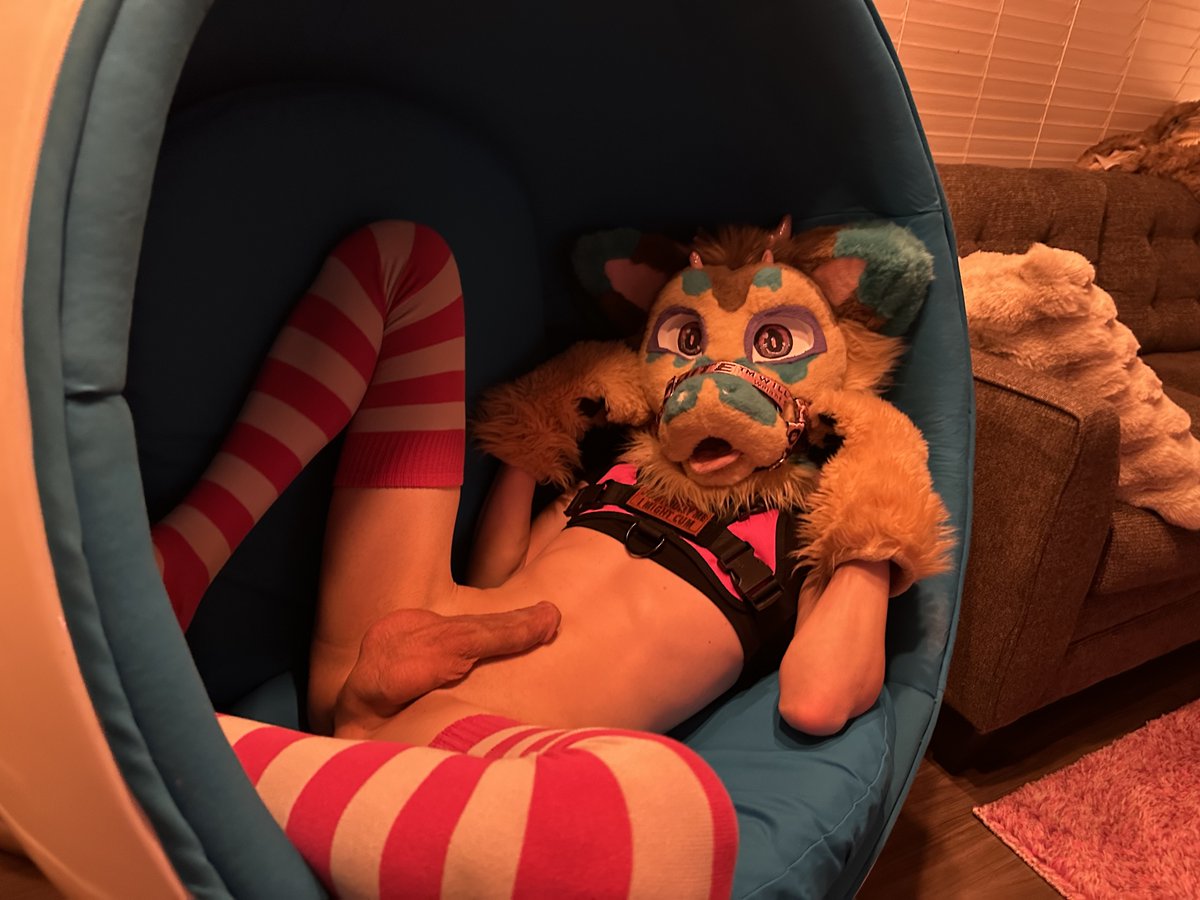 Shy !! :3 🔜 FANG, FWA tweet media