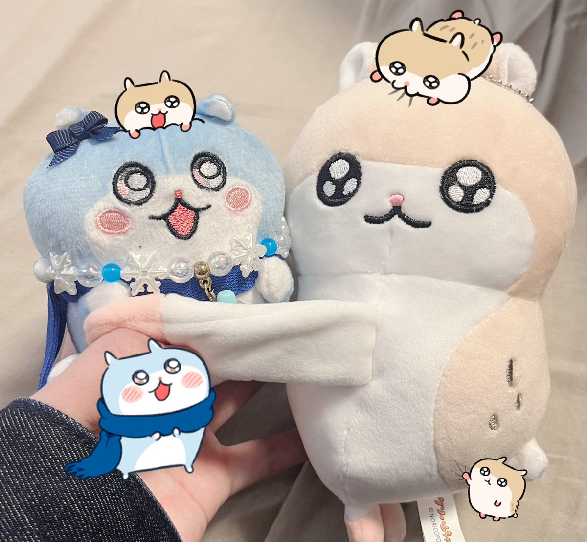 コビハムちゃん【公式】 (@cobihamu_chan) / Posts / X