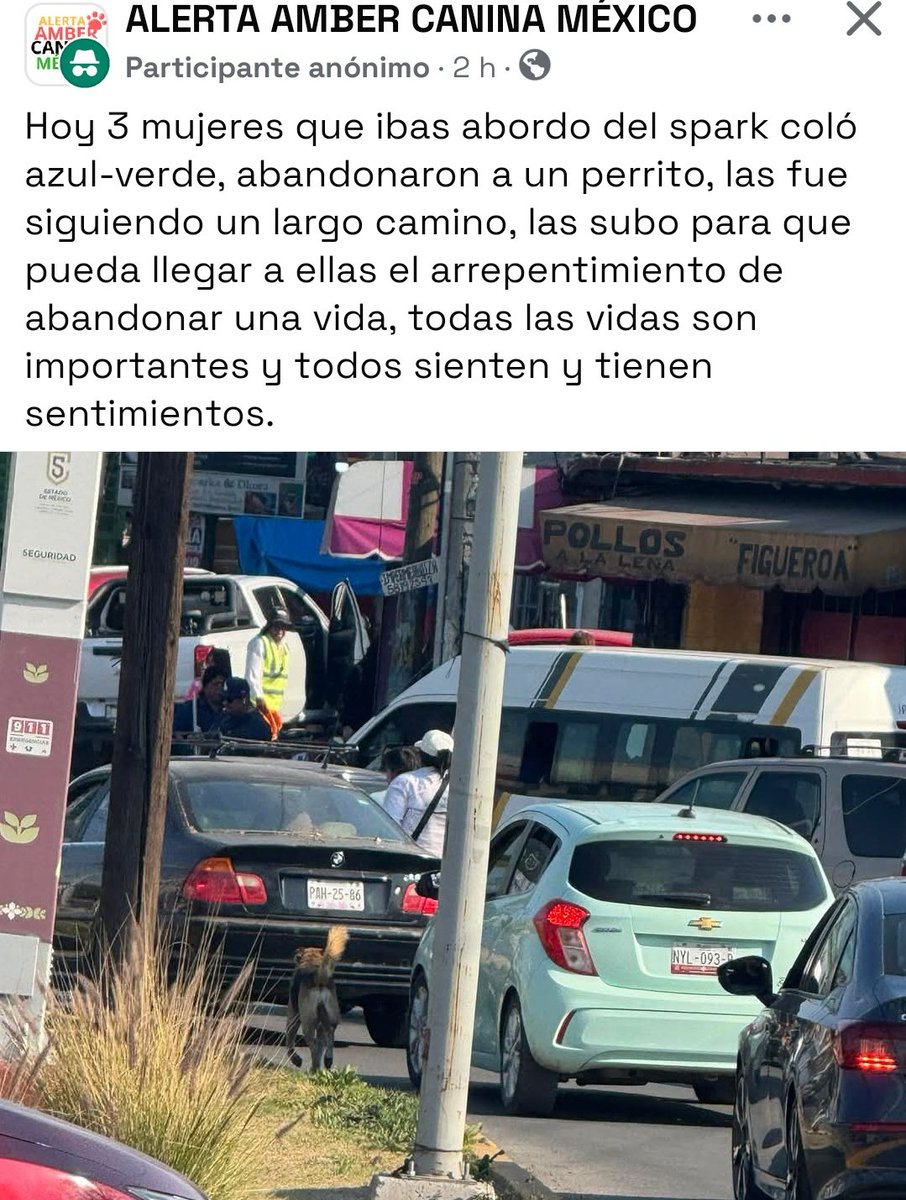 ABRYLHONEY's tweet photo. @Animales_CDMX @AnimalesPerdid2 @FundacionToby @LicAnimalista @Mr_Civico https://t.co/E1bu3dVRpC